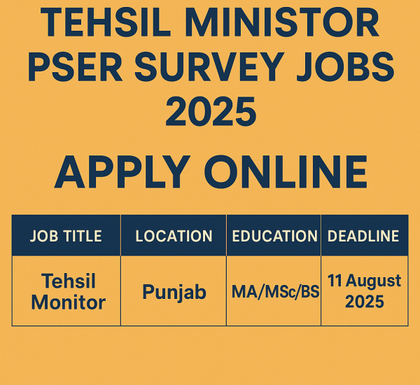 Tehsil Ministor PSER Survey jobs 2025